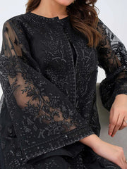 2 Piece Organza Suit-Embroidered
