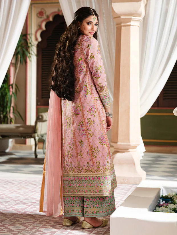2 Piece Lawn Suit-Paste Print