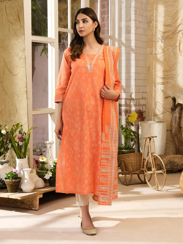 2 Piece Lawn Suit-Paste Print
