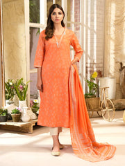 2 Piece Lawn Suit-Paste Print