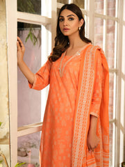 2 Piece Lawn Suit-Paste Print